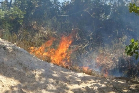 Pendik Kurtdoğmuş Köyü’nde korkutan yangın: Köylüler seferber oldu