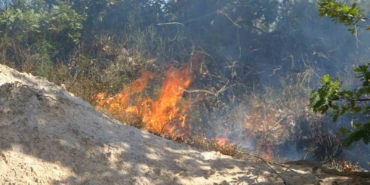 Pendik Kurtdoğmuş Köyü’nde korkutan yangın: Köylüler seferber oldu