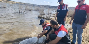 Pınarhisar’da barajlara balık bırakıldı