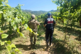 Sakarya’da 7 ayda 81 hırsızlık olayı meydana geldi