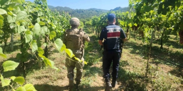 Sakarya’da 7 ayda 81 hırsızlık olayı meydana geldi