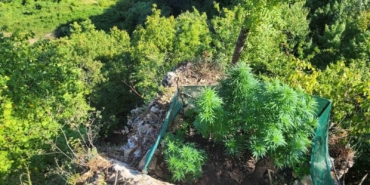 Sakarya’da jandarmadan uyuşturucu operasyonları: 6 tutuklama