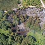 Sakarya’da korkutan orman yangını