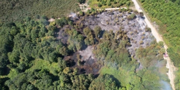 Sakarya’da korkutan orman yangını