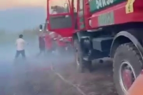 Sakarya’da orman yangını