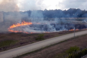 Sakarya’da otluk alanda yangın