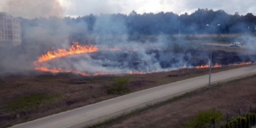 Sakarya’da otluk alanda yangın