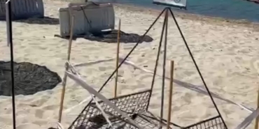 Saros Körfezi’nde yavru caretta carettalara koruma