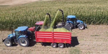 Silajlık mısır hasadı Babaeski’de başladı