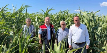 Silajlık Sorgum Projesi: Tekirdağ’da kuraklığa karşı tarımsal yenilikler incelendi