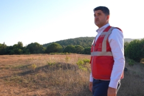 Sokak hayvanlarına yönelik 80 bin metrekarelik yeni rehabilitasyon merkezi kuruluyor