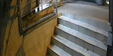 Sultanbeyli’de bir otomobilin motosiklete çarpması sonucu bir köpek öldü, O anlar kamerada