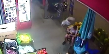 Sultangazi’de boğazında yemek kalan martı adeta yardım istedi