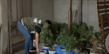 Sultangazi’de evinin çatı katında uyuşturucu yetiştiren şahıs polise yakalandı