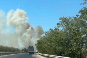 Susurluk - Balıkesir yolunda otlar tutuştu