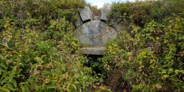 Tarih çalılıkların arasında kayboldu