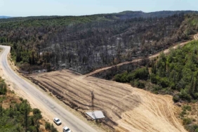 Tarihi alanda 700 hektarlık alanın etkilendiği orman yangının çıkış noktası dron ile görüntülendi