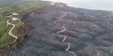 Tarihi Alan’daki orman yangınında 980 futbol sahası büyüklüğünde yer etkilendi