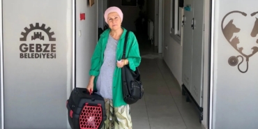 Tedavileri tamamlanan hayvanlar yeni yuvalarına kavuşuyor