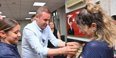 Tedavisi tamamlanan yavru kedi Biber sahibiyle buluştu