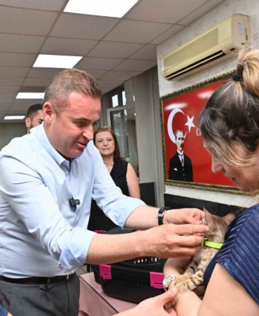 Tedavisi tamamlanan yavru kedi Biber sahibiyle buluştu