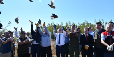 Tekirdağ’da 300 adet çil keklik doğaya salındı
