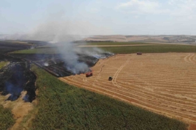Tekirdağ’da yangınlarda 19 bin 676 dekar tarım arazisi zarar gördü