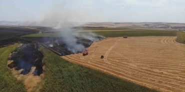 Tekirdağ’da yangınlarda 19 bin 676 dekar tarım arazisi zarar gördü