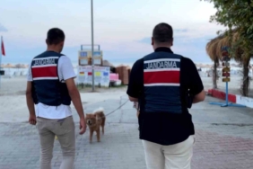 Tekirdağ’da Zıpkın-22 operasyonu