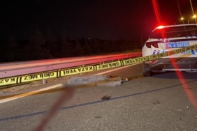 TEM Otoyolu’nda yolun karşısına geçmeye çalışan yayaya otomobil çarptı: 1 ölü