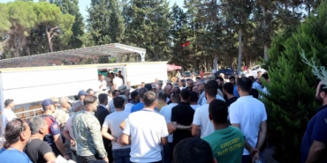 TİGEM tay satışından tek seferde 20 milyon 845 bin liralık gelir elde etti