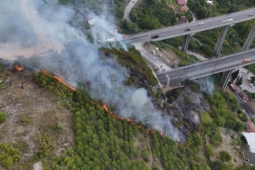 Tünelin üstündeki ağaçlık alanda yangın çıktı