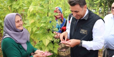 Türkiye’nin en güzel barbunyası: ’Kınık Barbunyası’