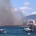 Tuzla Tersanesi’nin yanındaki ağaçlık alanda korkutan yangın