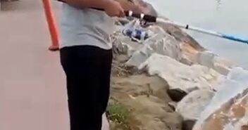 Yalova’da acemi balıkçının oltasına balık yerine martı takıldı