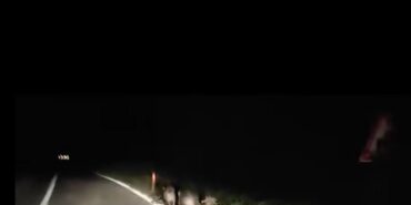 Yalova’da domuzlar kara yoluna indi