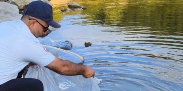 Yalova’da göletlere 100 bin yavru sazan balığı bırakıldı