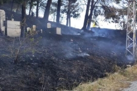 Yalova’da mezarlık yangını