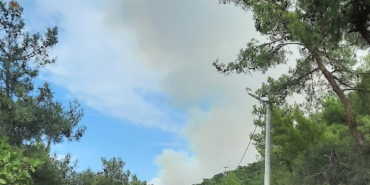 Yalova’da orman yangını