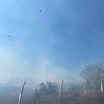 Yalova’da zeytinlik alanda çıkan yangın söndürüldü