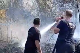 Yalova’da zeytinlik alanda yangın