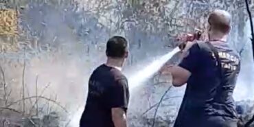 Yalova’da zeytinlik alanda yangın