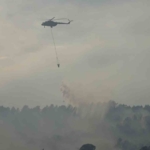 Yalova’daki orman yangını kontrol altına alındı