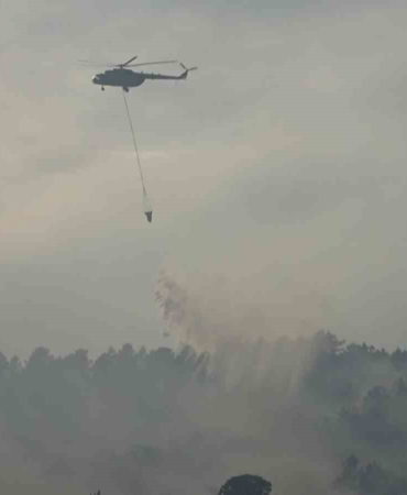 Yalova’daki orman yangını kontrol altına alındı