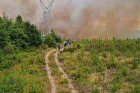 Yalova’daki orman yangınına havadan ve karadan müdahale sürüyor