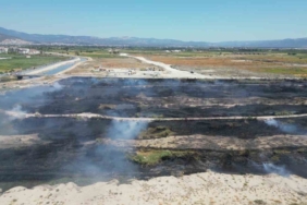 Yanan sazlık yangın anı ve sonrası havadan böyle görüntülendi