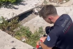 Yaralı martıyı iftaiye ekipleri kurtardı