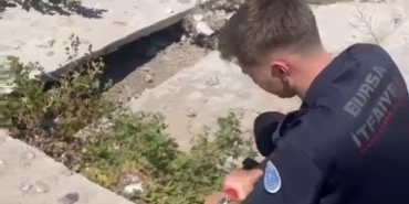 Yaralı martıyı iftaiye ekipleri kurtardı