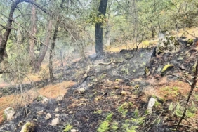 Yıldırım kaynaklı orman yangınına, havadan ve karadan müdahale