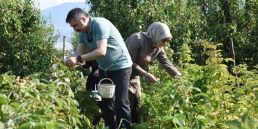 Yıldırım’da tarladan sofraya kadın eli
